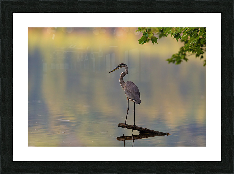 AC3Y8990 Edit 2 Picture Frame print