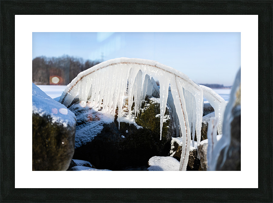 Frozen Picture Frame print