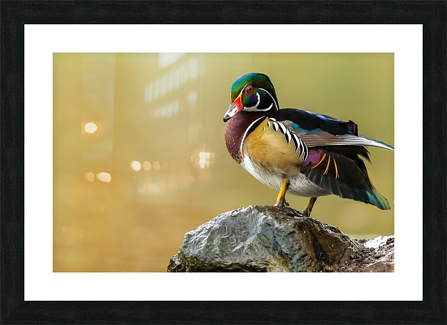 AC3Y3011 Edit Picture Frame print
