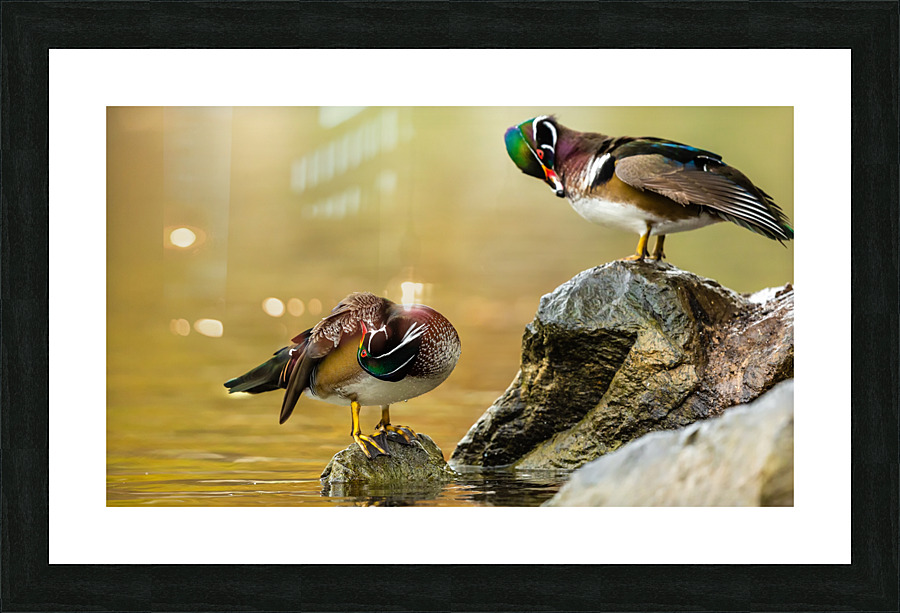 AC3Y3117 Edit Picture Frame print