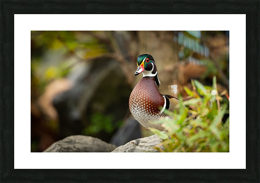 AC3Y3940 Edit 2 Picture Frame print
