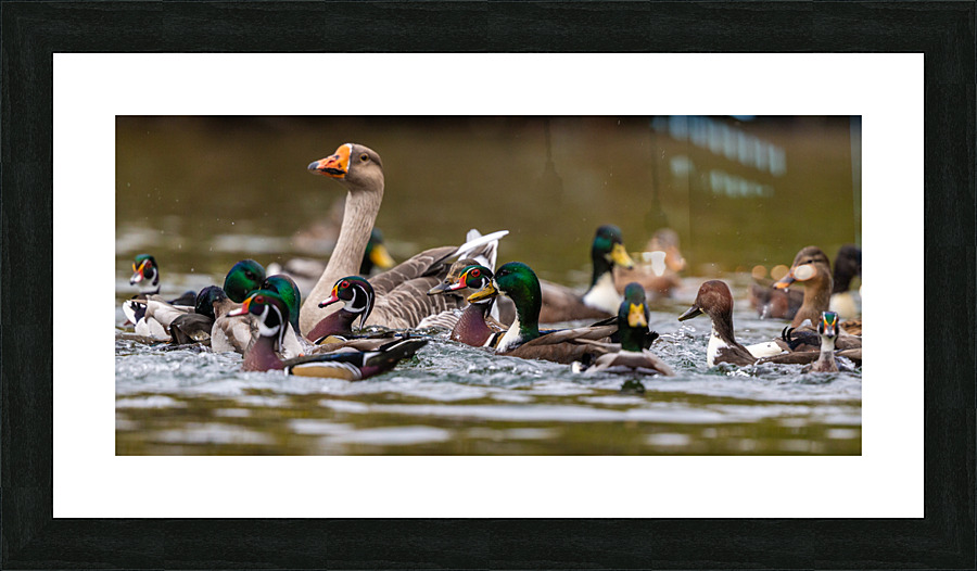 AC3Y5709 Picture Frame print