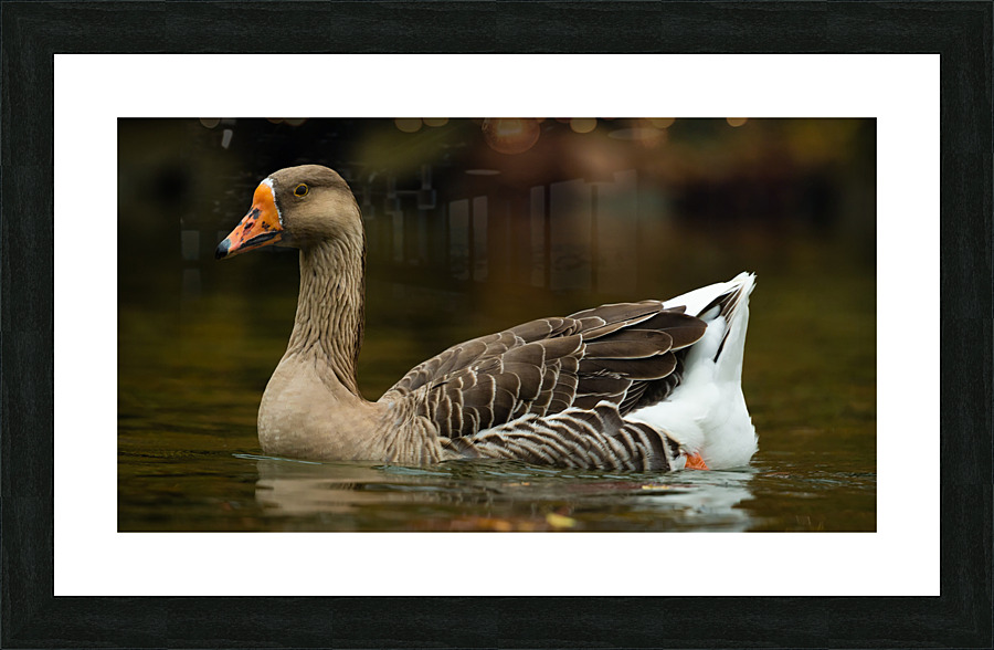 AC3Y5627 Edit Picture Frame print