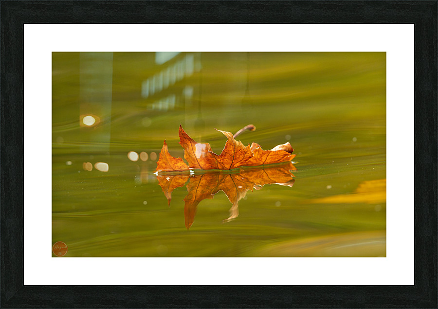 AC3Y5742 Edit Picture Frame print