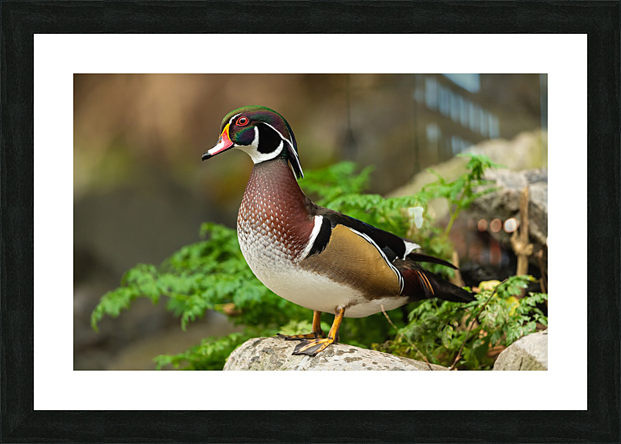 AC3Y3931 Edit 2 Picture Frame print