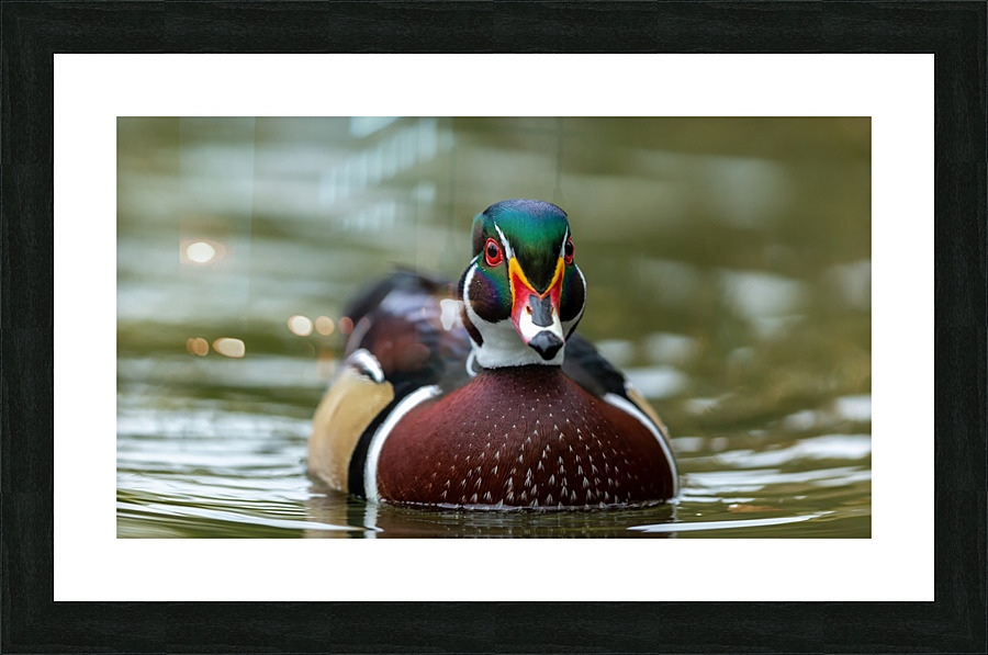 AC3Y3250 Edit 2 Picture Frame print