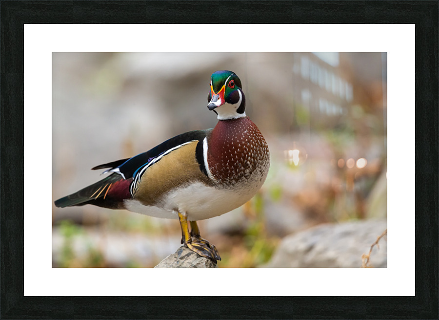 AC3Y5708 Edit Picture Frame print