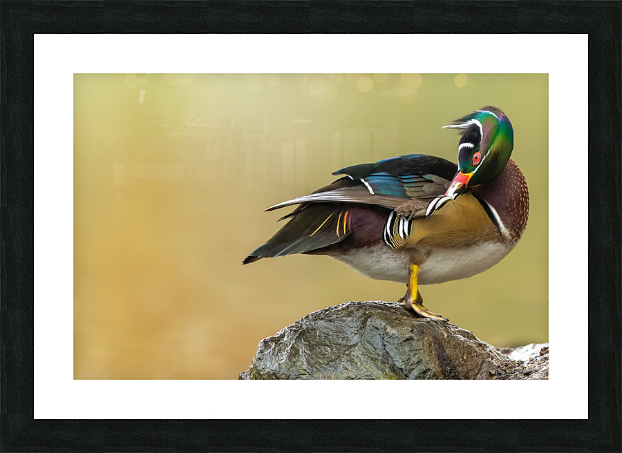 AC3Y3002 Edit Picture Frame print