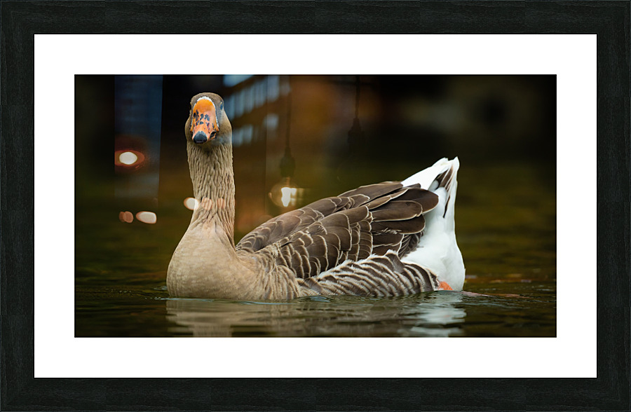 AC3Y5630 Edit Picture Frame print