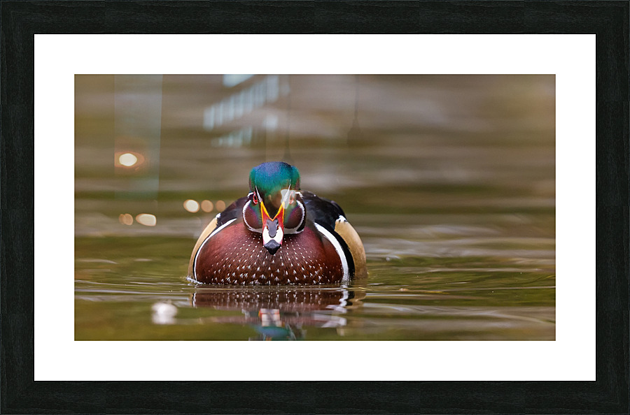 AC3Y4193 Edit Picture Frame print