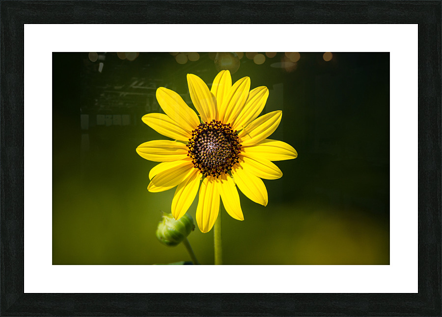  MG 5876 2 Picture Frame print