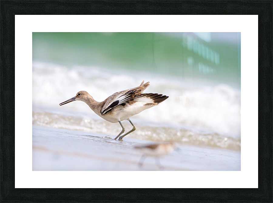  MG 3173 Picture Frame print
