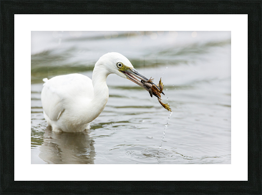  KM 0614 Picture Frame print