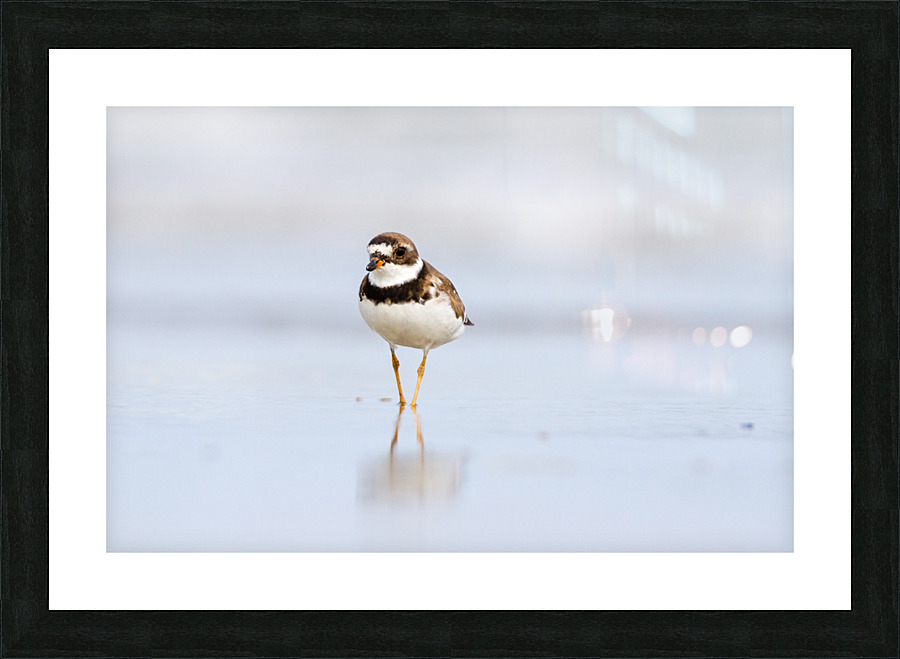  MG 3166 Picture Frame print