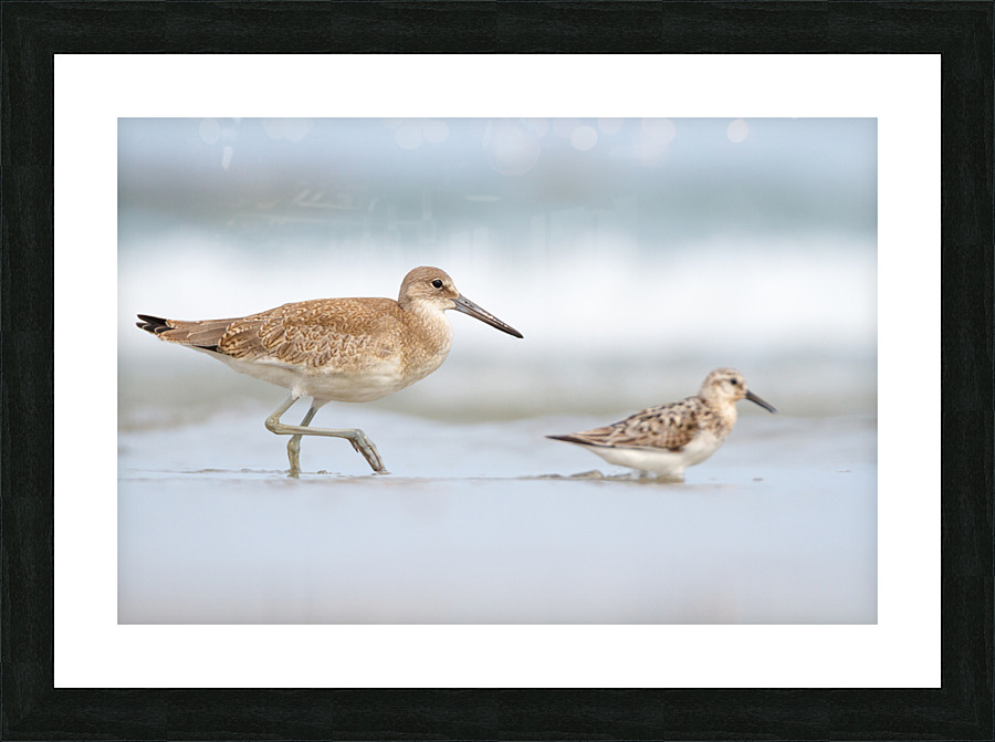  MG 3215 Picture Frame print