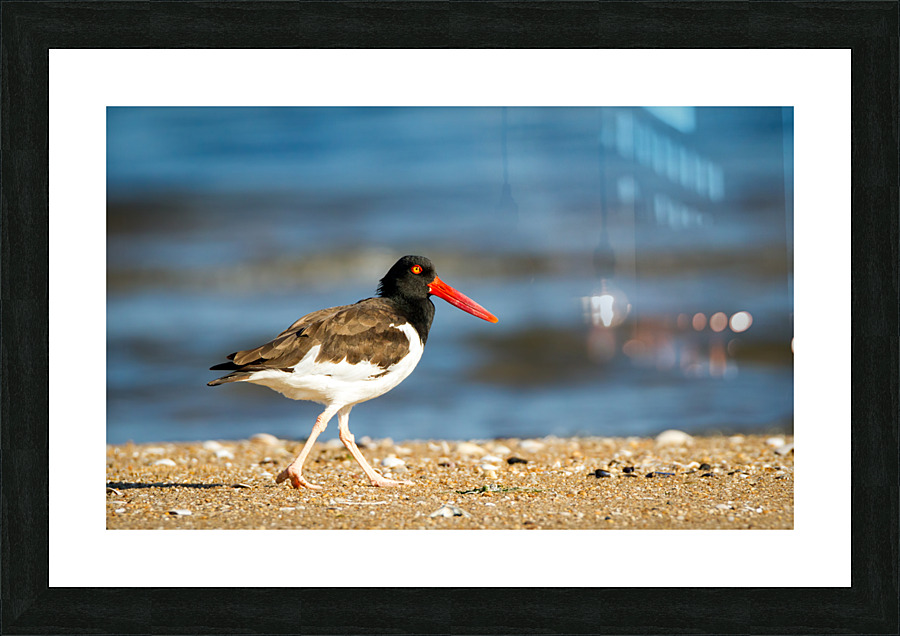  MG 5580 Edit Picture Frame print