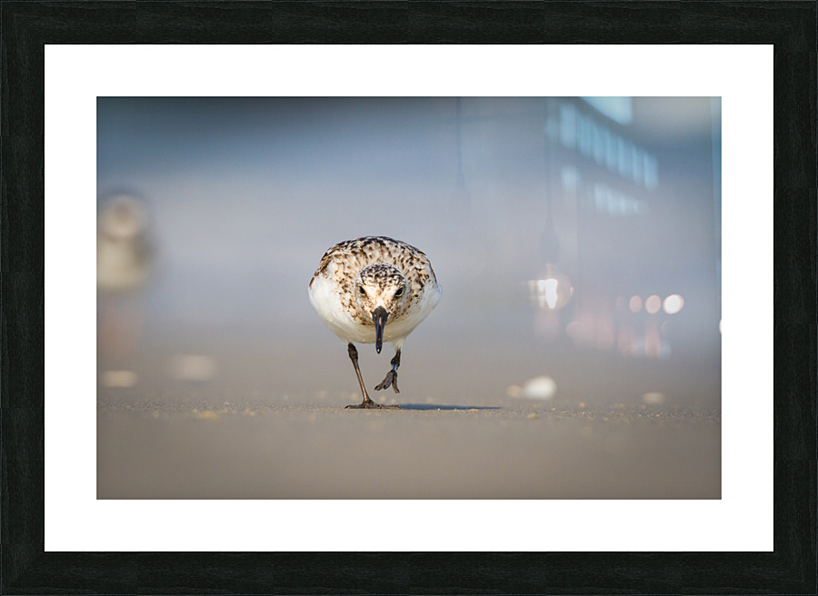  MG 3519 Picture Frame print