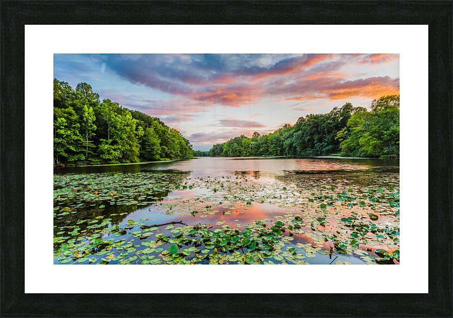 20140728  KM 0228 Edit Picture Frame print