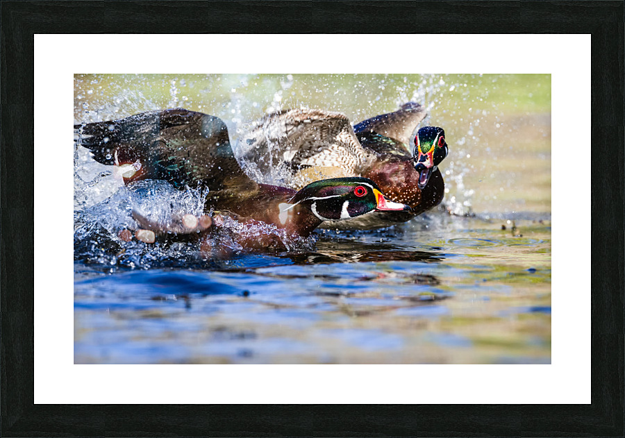 AC3Y8363 Edit Picture Frame print