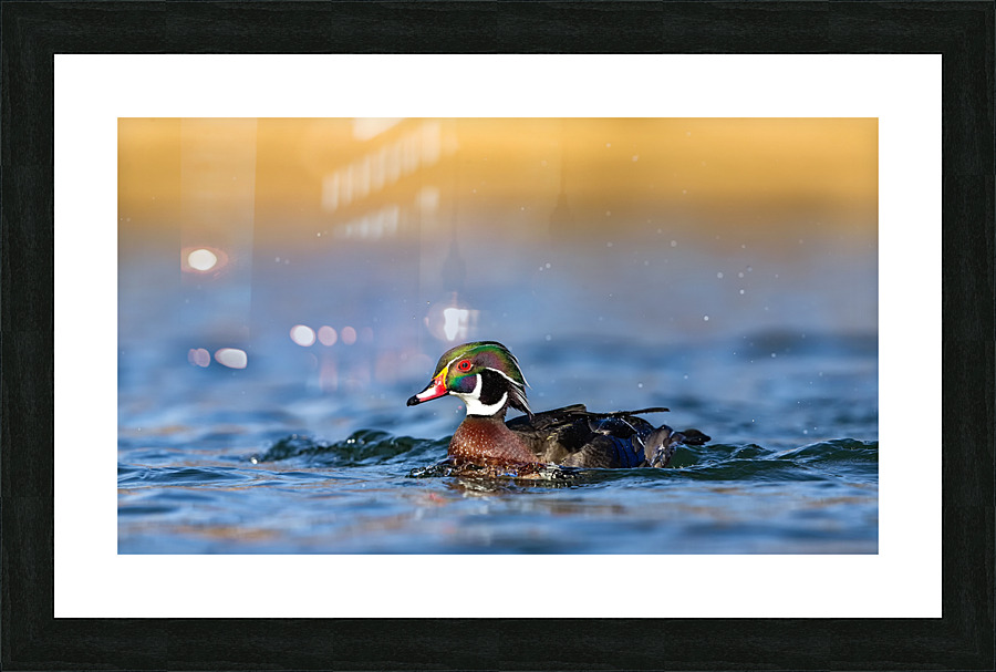 AC3Y6246 Edit 2 Picture Frame print