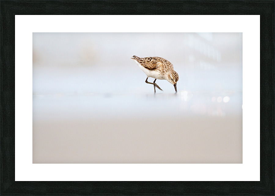  MG 3219 Picture Frame print