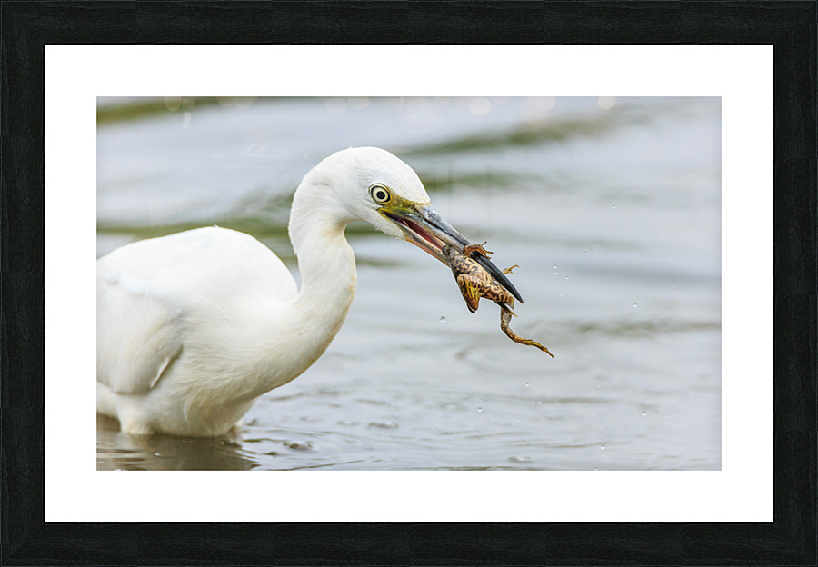  KM 0617 2 Picture Frame print