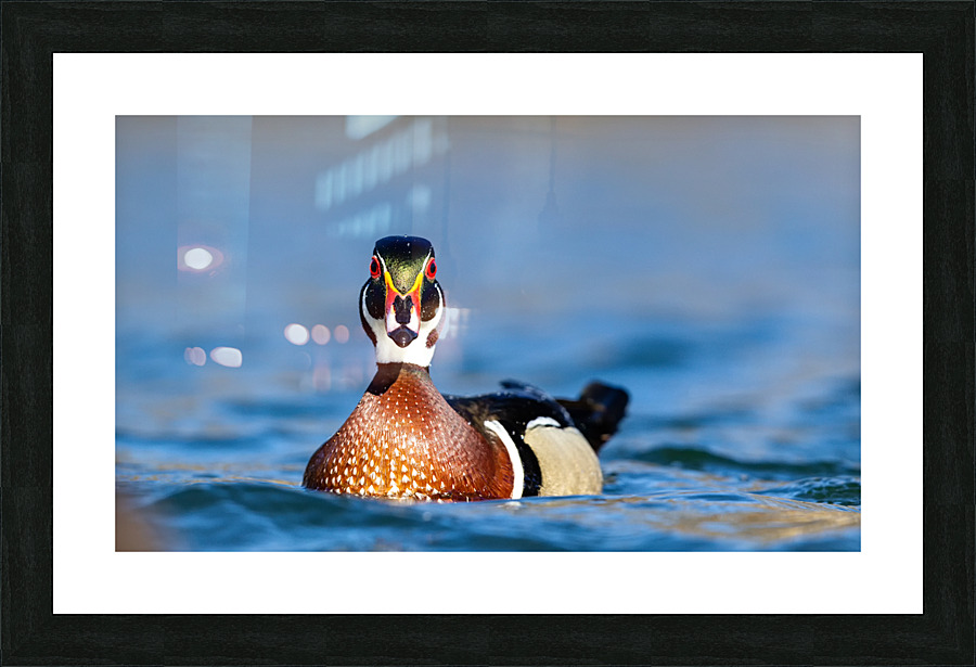 AC3Y6063 Edit 2 Picture Frame print
