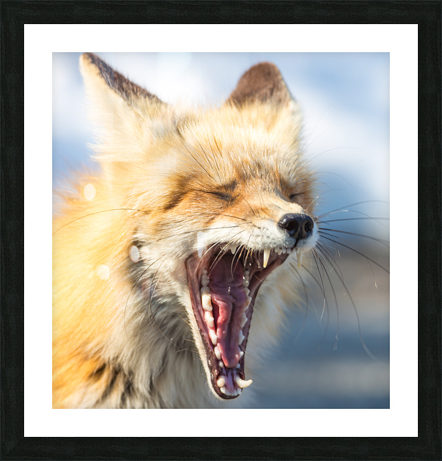 20140308  KM 0874 Picture Frame print