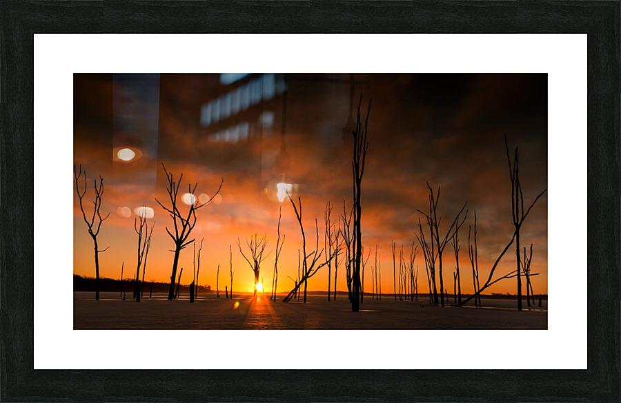 20140308  KM 0145 Picture Frame print