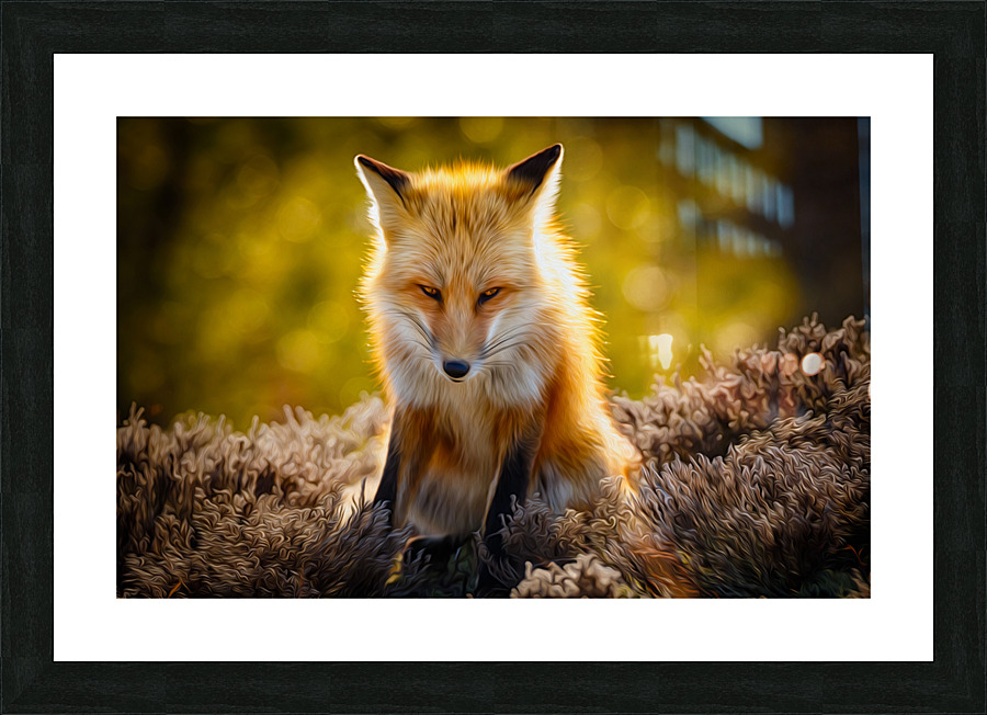  KM 1028 Edit 4 Picture Frame print