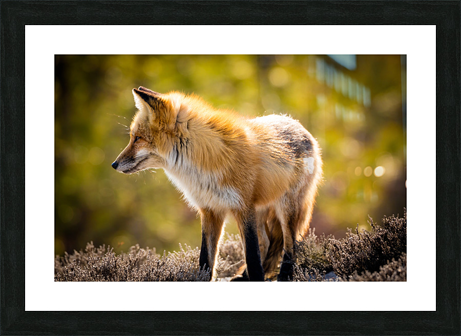 KM 1018 Edit Picture Frame print