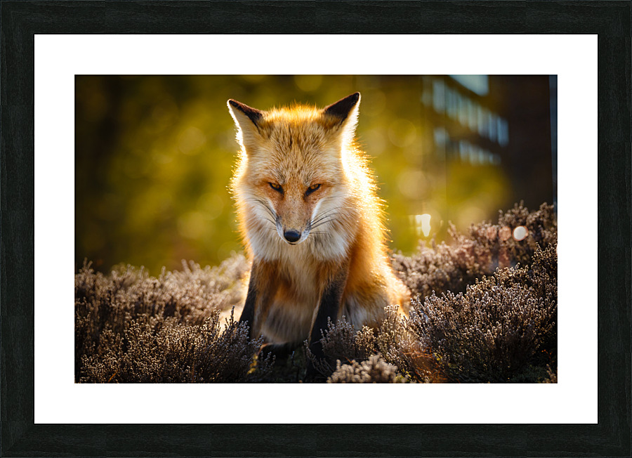  KM 1028 Picture Frame print
