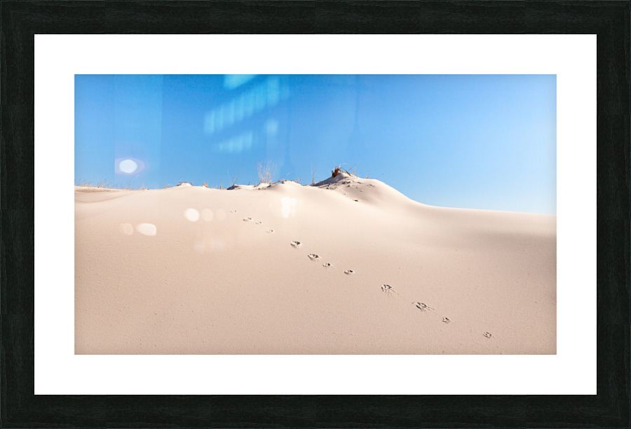 20140308  P2L1104 Picture Frame print