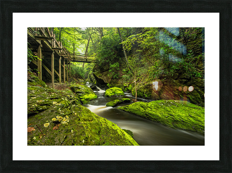 Go green Picture Frame print