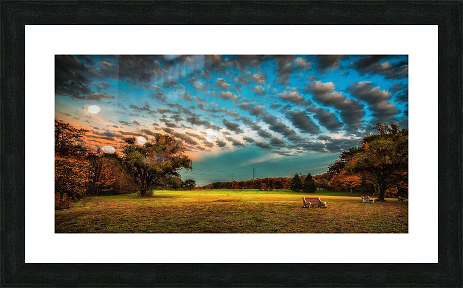 DP2L7294 Picture Frame print
