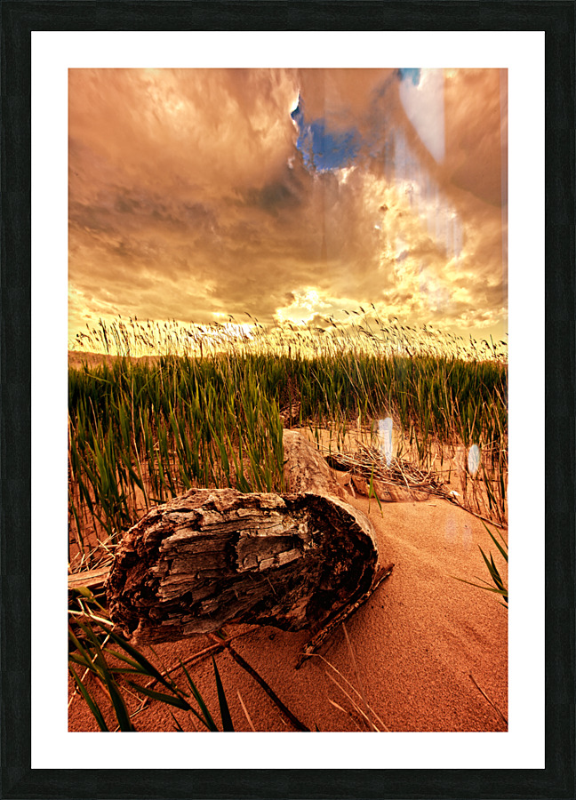 DP2L5942 Edit Picture Frame print