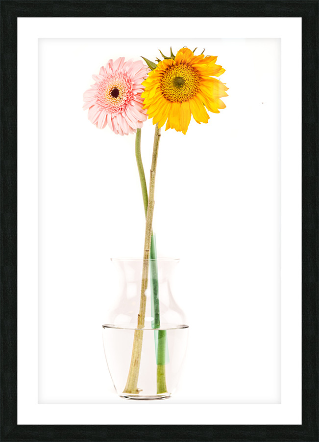  P2L6068 Picture Frame print
