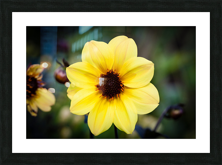 DP2L0490 Picture Frame print