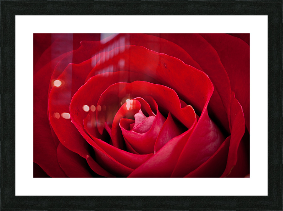  P2L6106 Picture Frame print