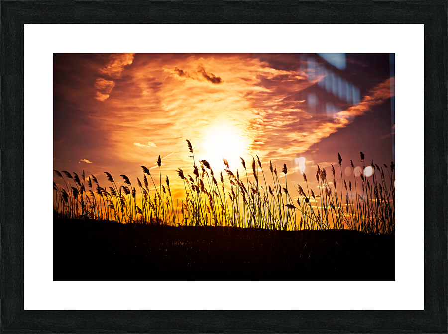 DP2L1752 Edit Picture Frame print