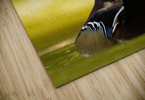 DSC04010 Razak Photography puzzle