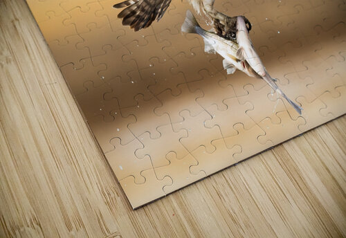 DSC07537 Edit 6 Razak Photography puzzle