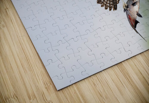 DSC06511 Edit Razak Photography puzzle