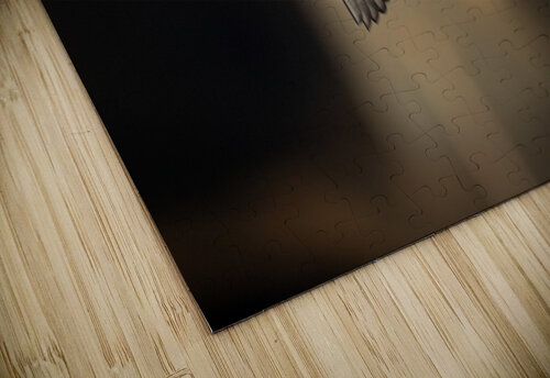 DSC06453 Edit Razak Photography puzzle