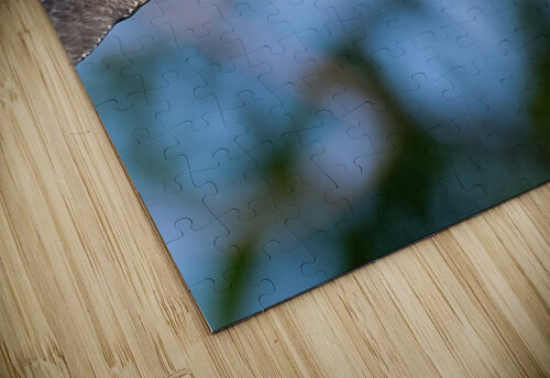 DSC02032 Edit 5 Razak Photography puzzle