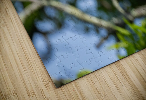 DSC02025 Edit 2 Razak Photography puzzle