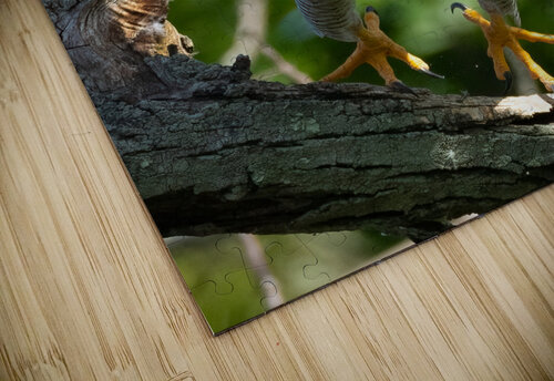 DSC02013 Edit 4 Razak Photography puzzle