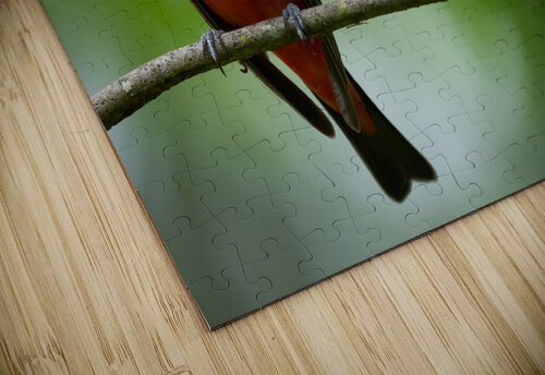 DSC04929 Edit Razak Photography puzzle