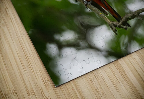 DSC05272 Edit Razak Photography puzzle