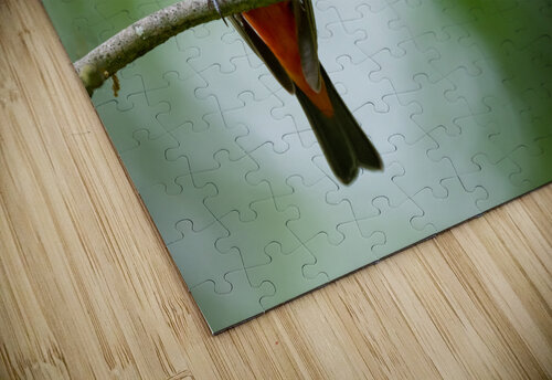 DSC04987 Edit Razak Photography puzzle